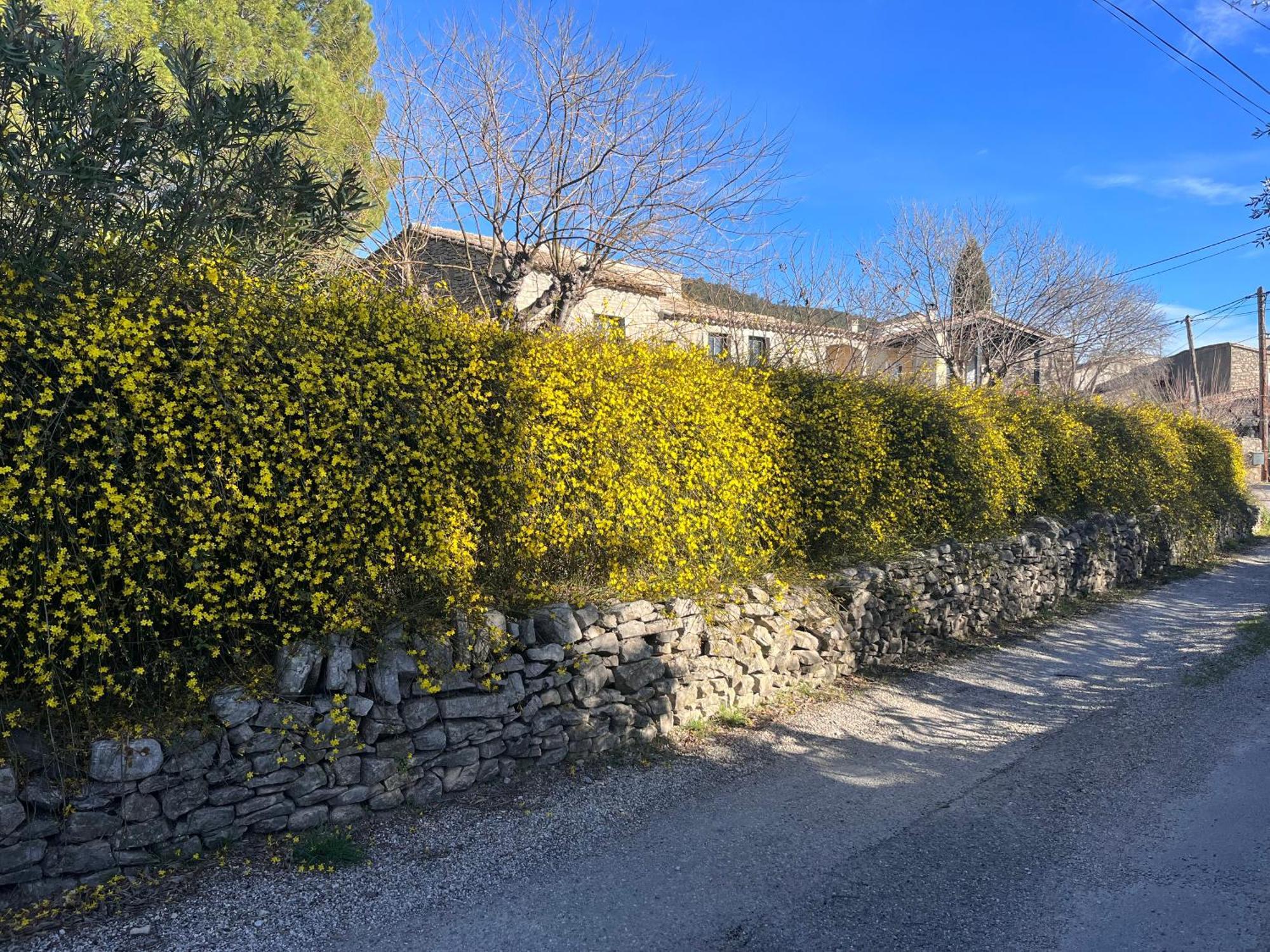 L'Ostal Du Pic Saint Loup Aux Embruscalles Claret Εξωτερικό φωτογραφία